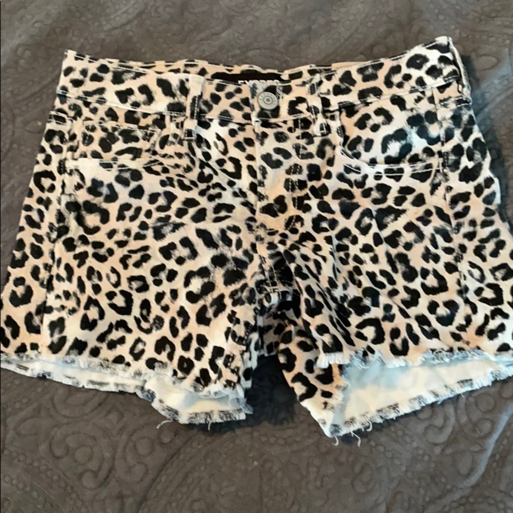 Cute Express cheetah shorts